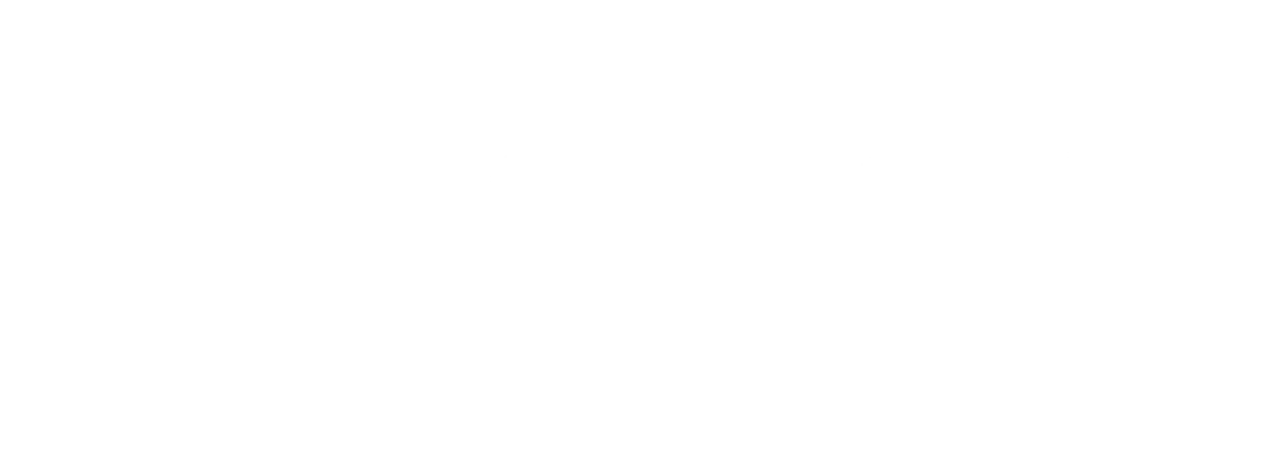 logo nekocom blanc